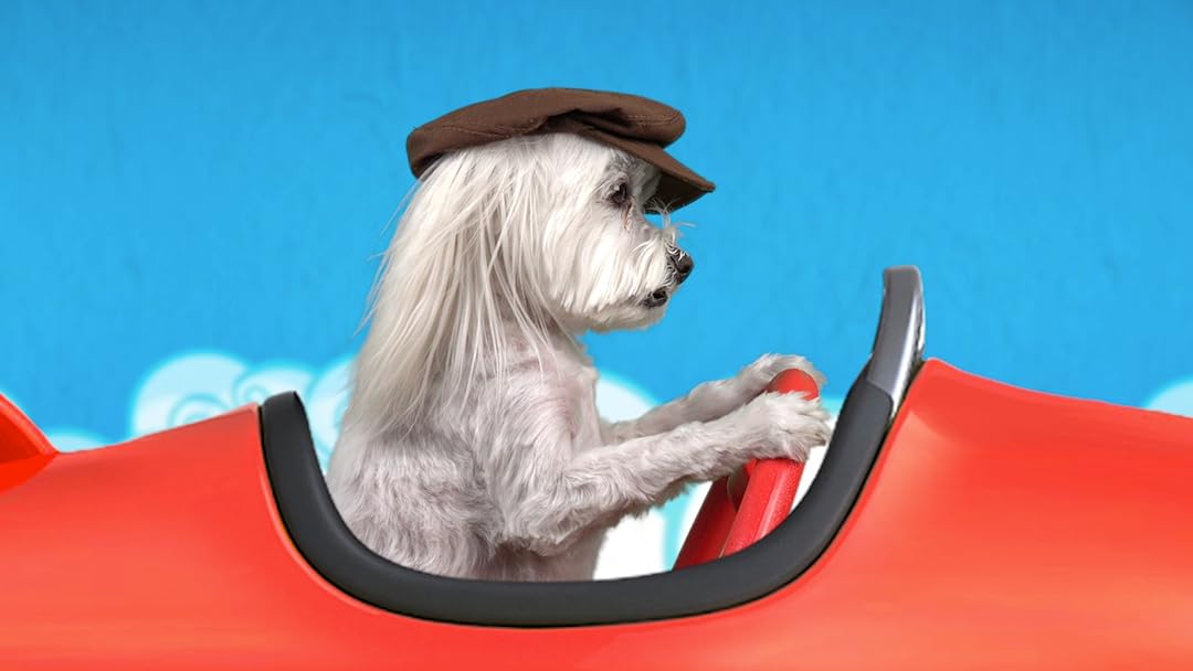Pup School: Up in the Clouds