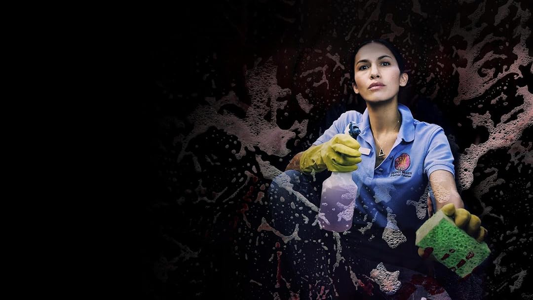 The Cleaning Lady