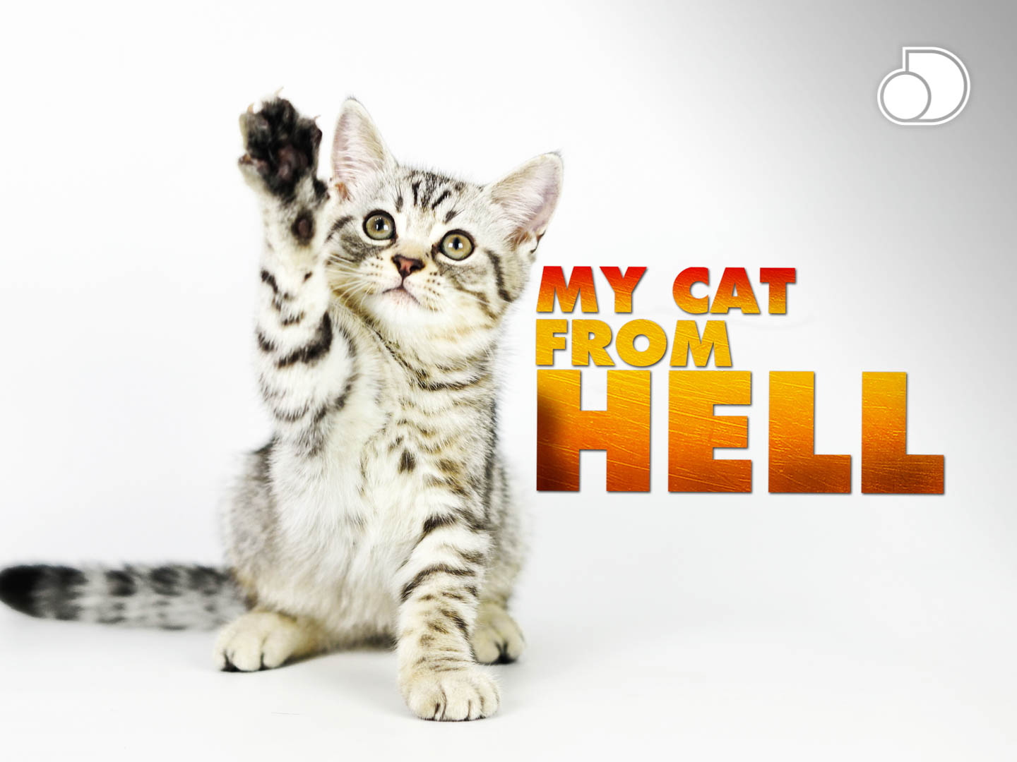 Prime Video My Cat From Hell Season 7