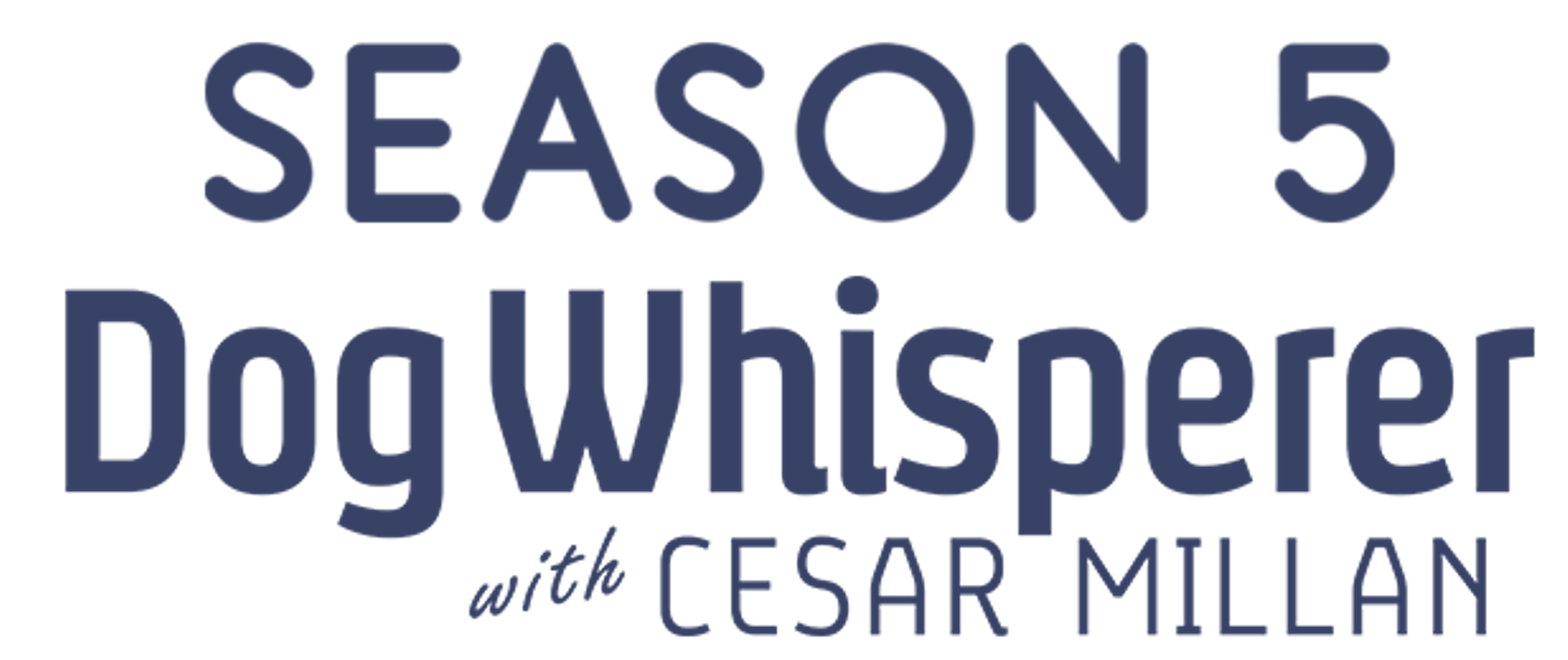 Prime Video: Dog Whisperer with Cesar Millan - Season 5