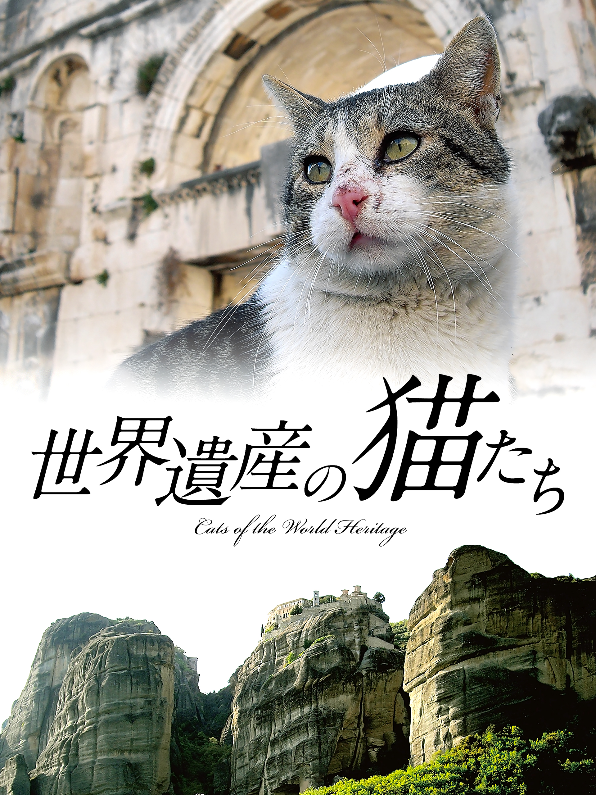 Amazon.co.jp: 世界遺産の猫たち Cats of the World Heritageを