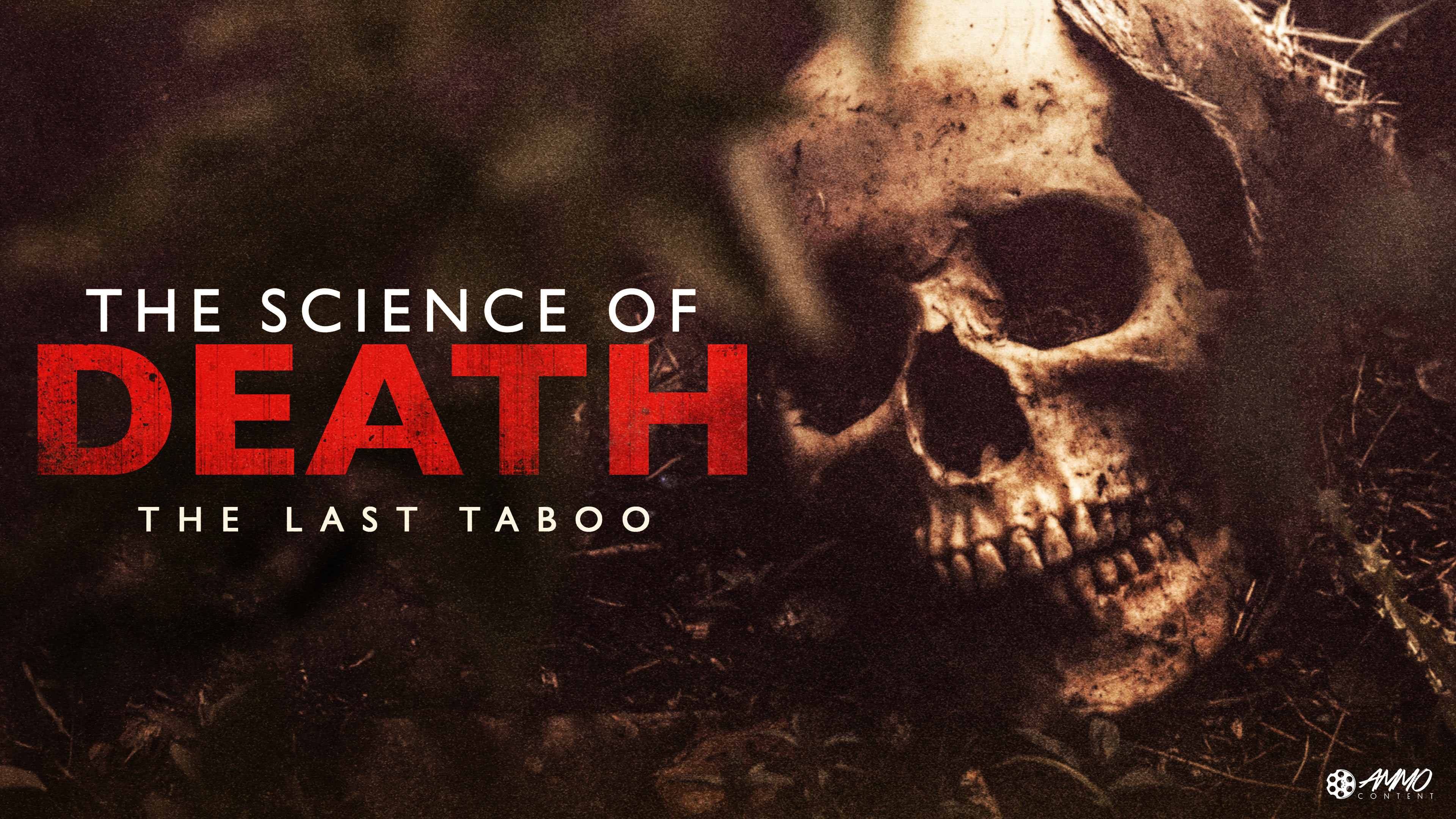 (未使用･未開封品)New Detectives: Science of Death 1996-1998 [DVD] Amazon.com: The New Detectives: Science of Death [DVD