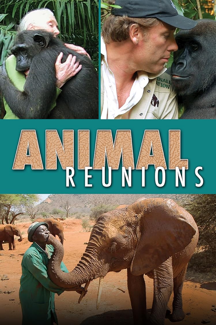 Animal Reunions