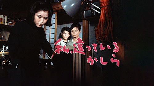 fd87504e41f218d61e8cfcd879e938