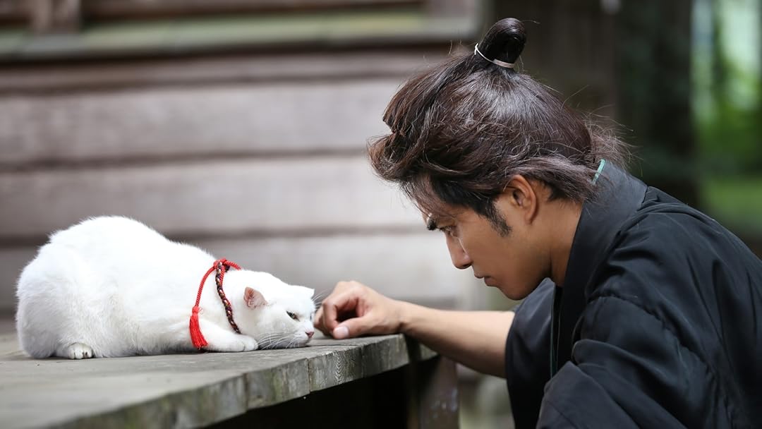 Amazon.co.jp: 劇場版 猫侍を観る | Prime Video