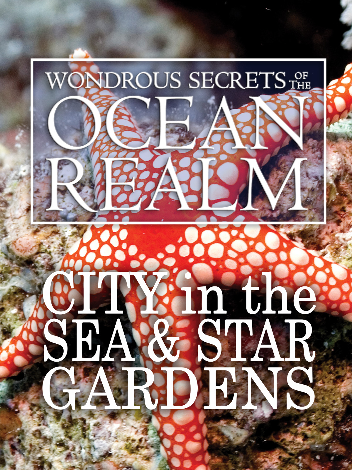 (未使用･未開封品)Wondrous Secrets of the Ocean Realm [DVD] Watch Wondrous Secrets of the Ocean Realm: The Great Whales