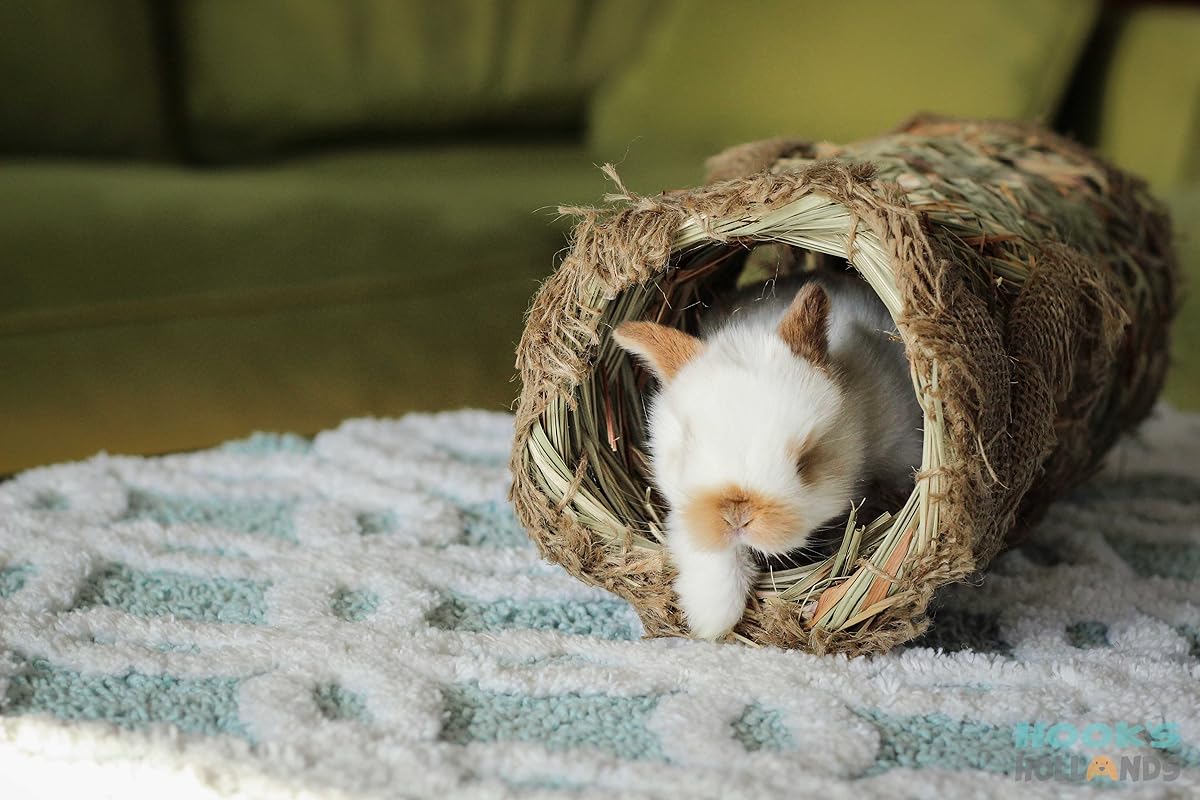 Hook's Hollands's Amazon Page