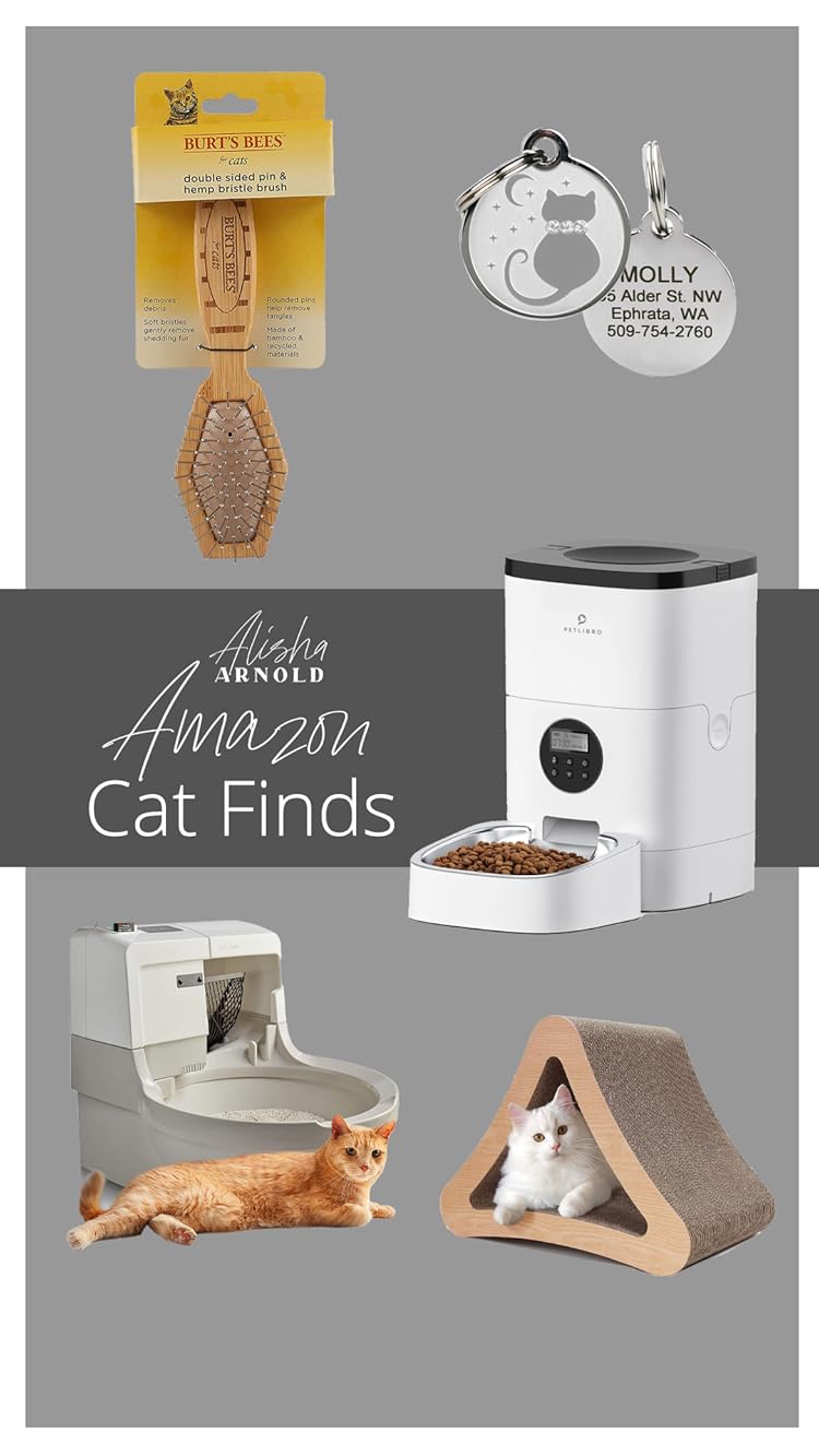 How to Clean Wolf Oven Master the Art of Sparkling Appliance Shine