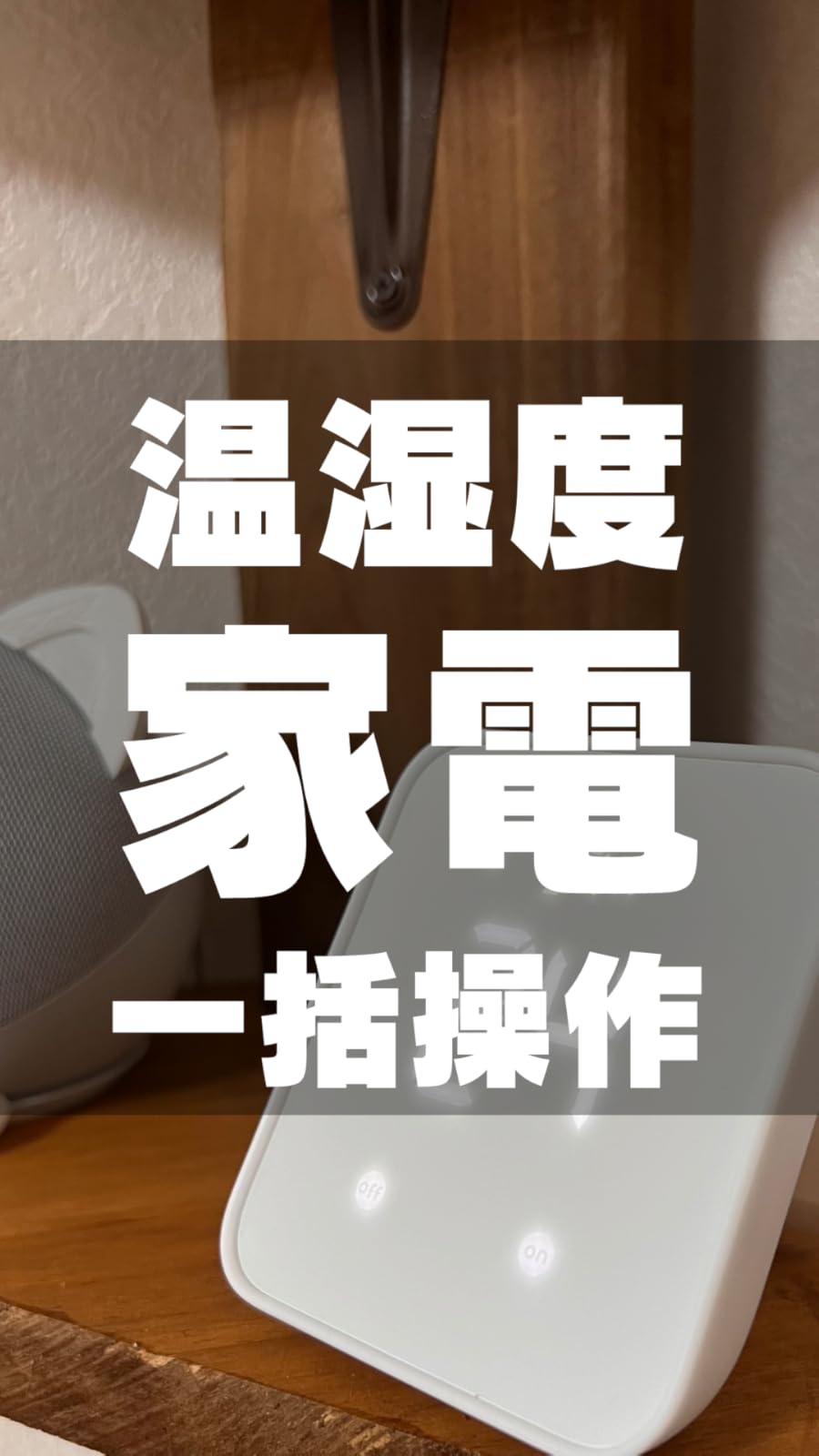 chie.chieページ⭐︎最新版!4in1+おまけ付き 0000019875194-01.jpg?v=