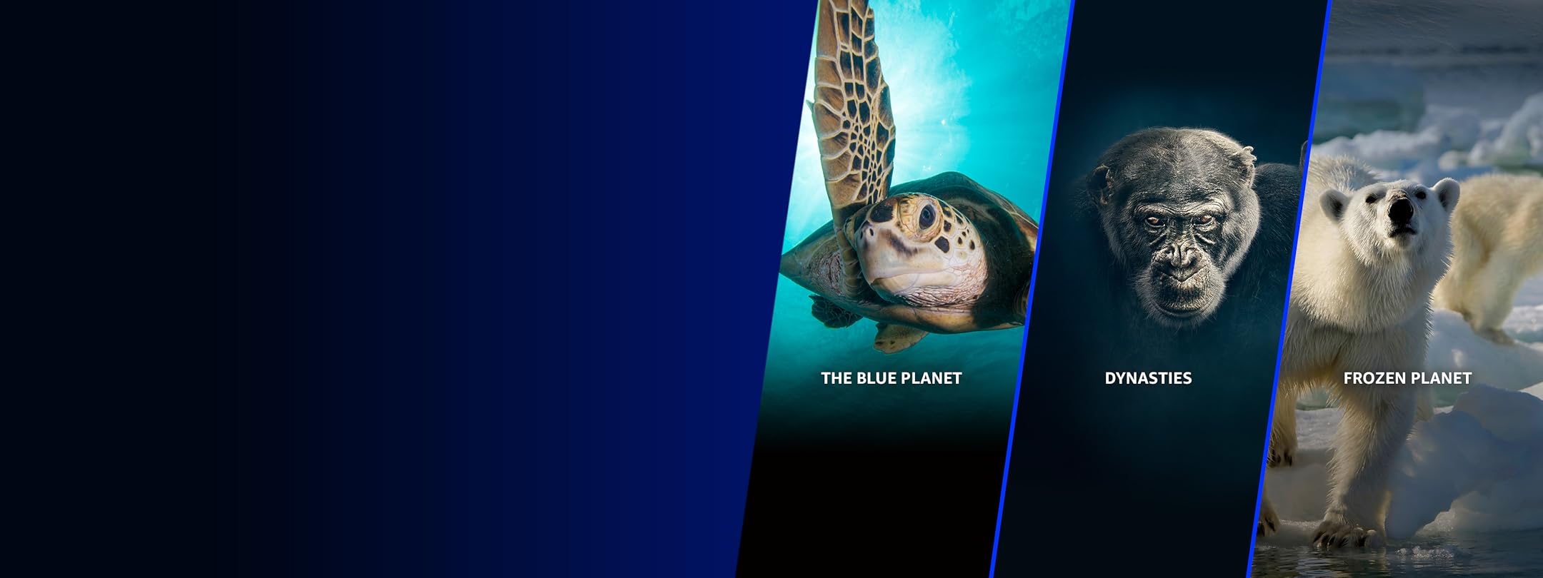 Planet Earth