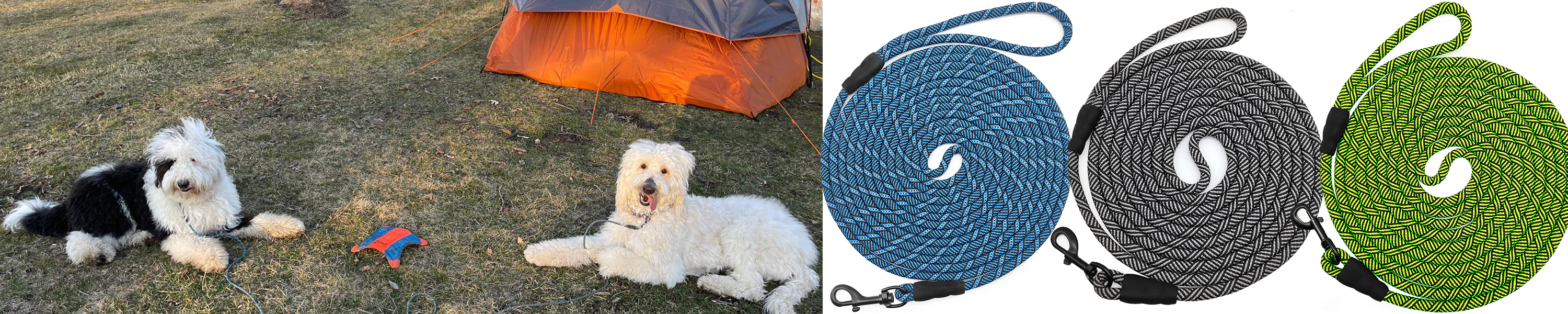 Amazon.de Mycicy Long Dog Lead Rope