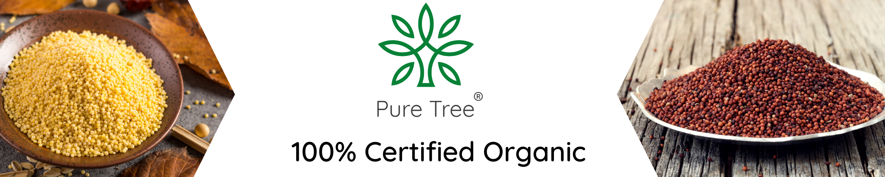 Amazon.in Pure Tree Foods Nutri cereals