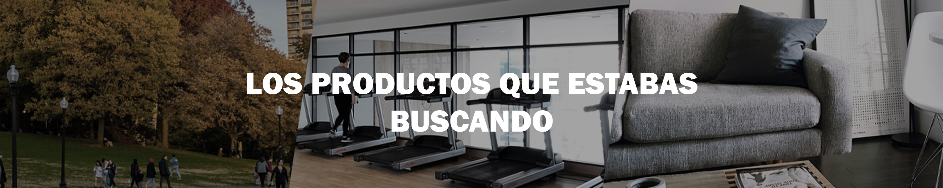 Amazon.co.uk Calma Dragon EQUIPAJE