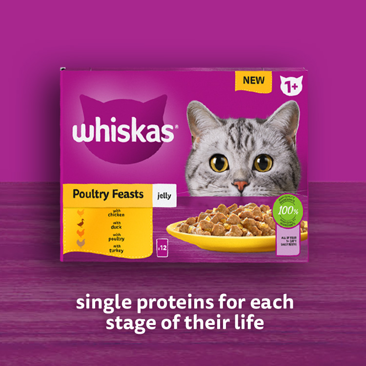 Amazon.co.uk Whiskas Wet Food