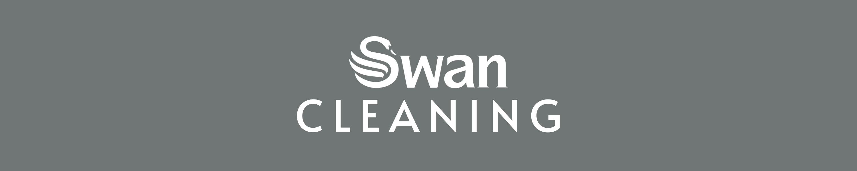 Amazon.co.uk Swan Products Ltd Cleaning