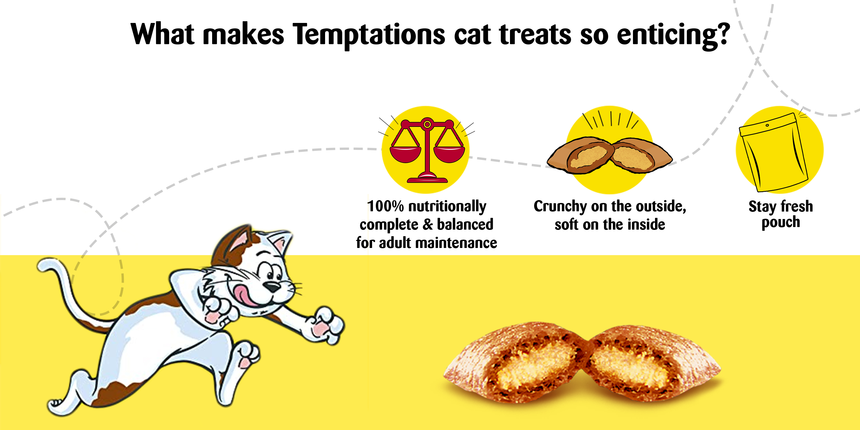 Amazon in Temptations CAT TREATS amazon-in-temptations-cat-treats