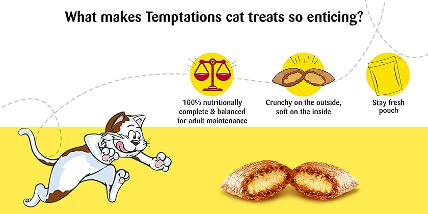 amazon-in-temptations-cat-treats