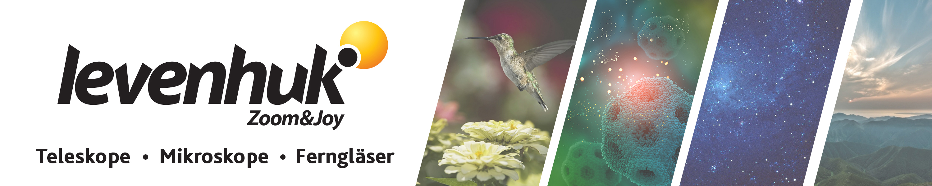 Amazon.de: Levenhuk: Discovery Flint - Ferngläser