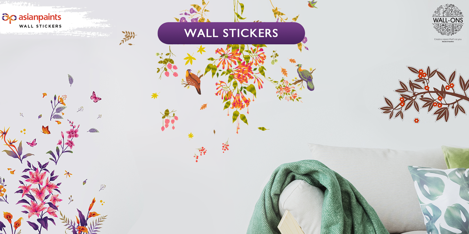 Amazon.in Asian Paints Wall Stickers
