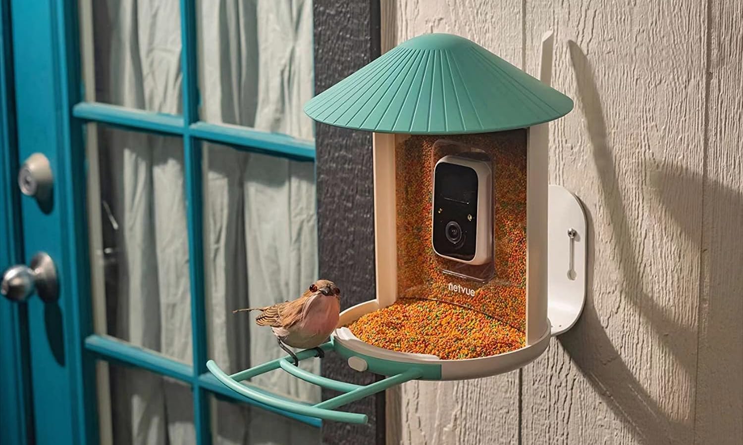 Amazon.es netvue Birdfy Cam
