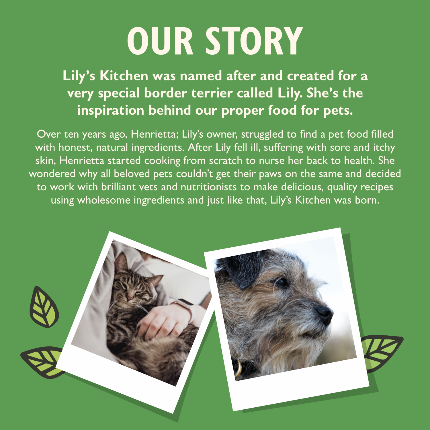 Amazon.co.uk Lily's Kitchen