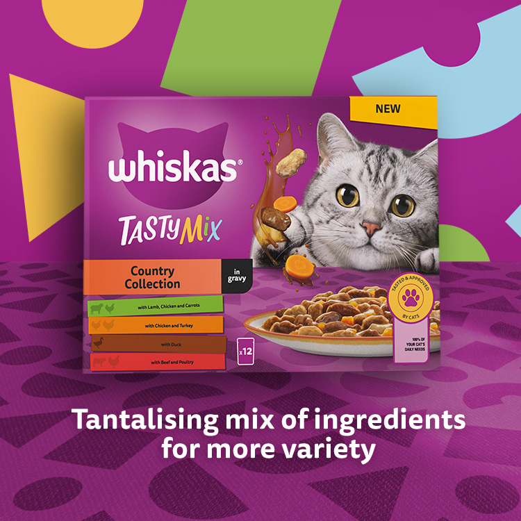 Amazon.co.uk Whiskas Wet Food