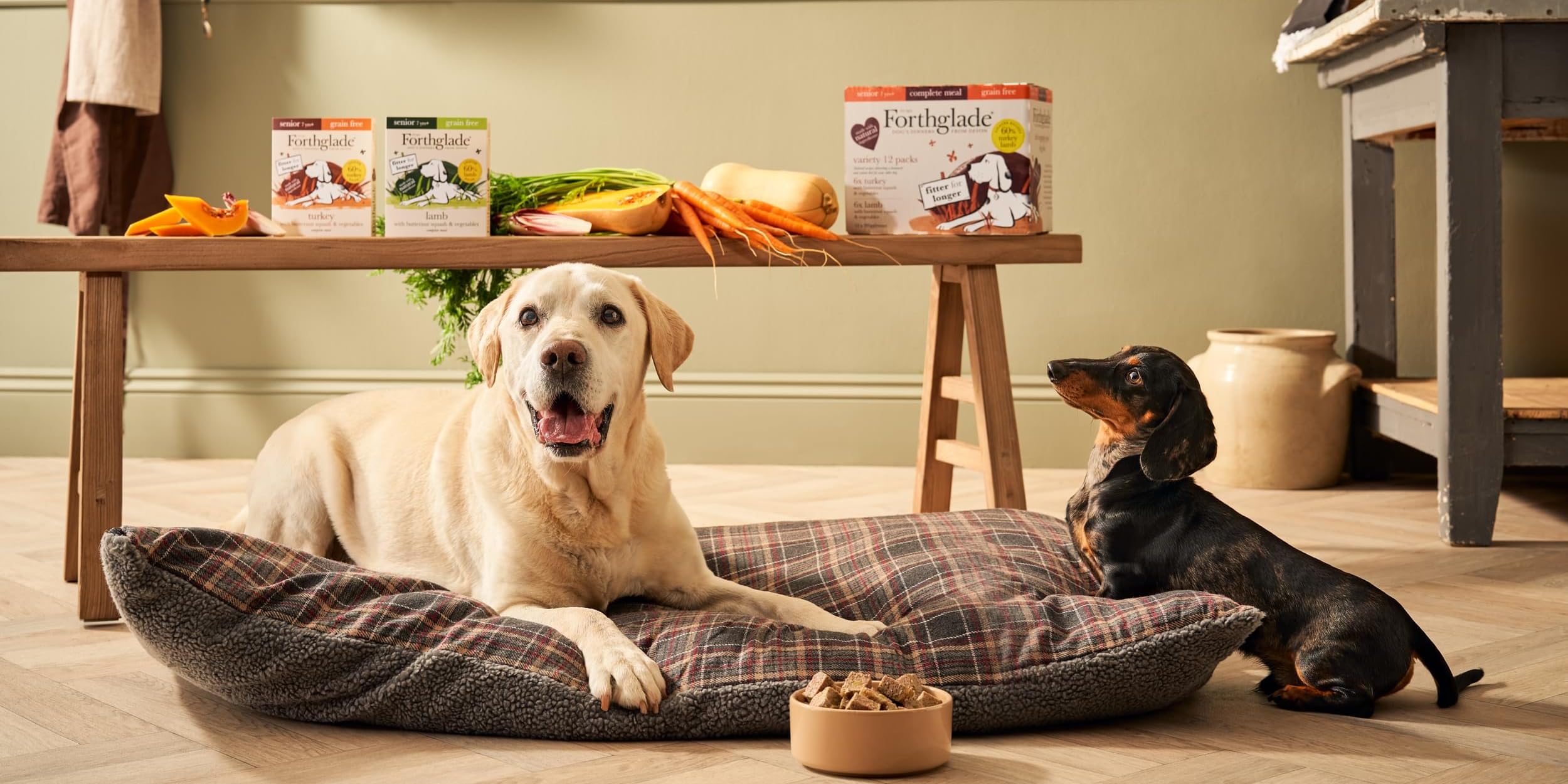 Amazon.co.uk Forthglade Senior