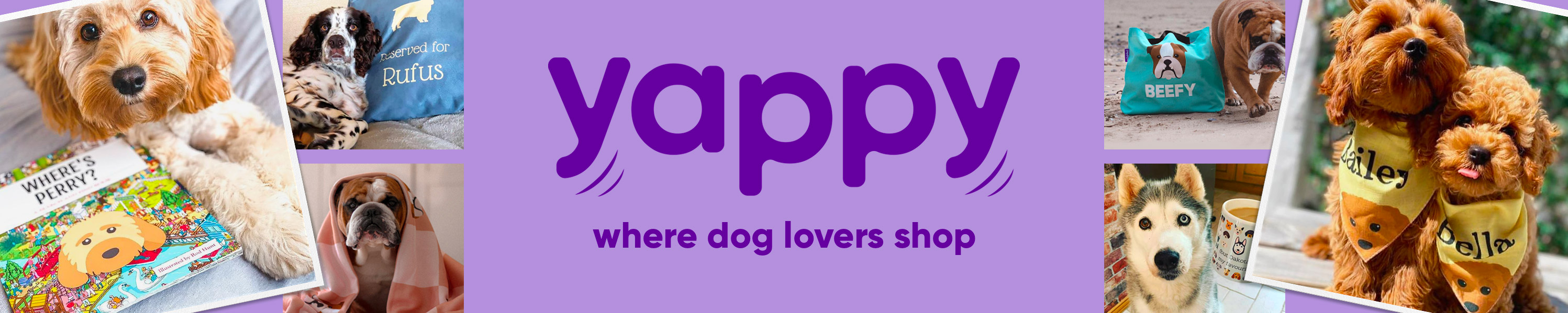 Amazon.co.uk Yappy