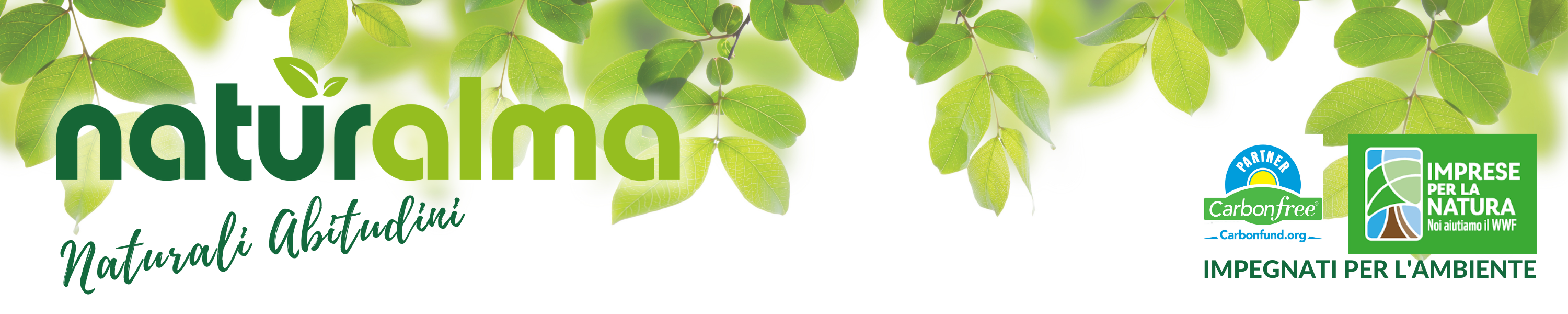 Amazon.co.uk Naturalma Cardo Mariano