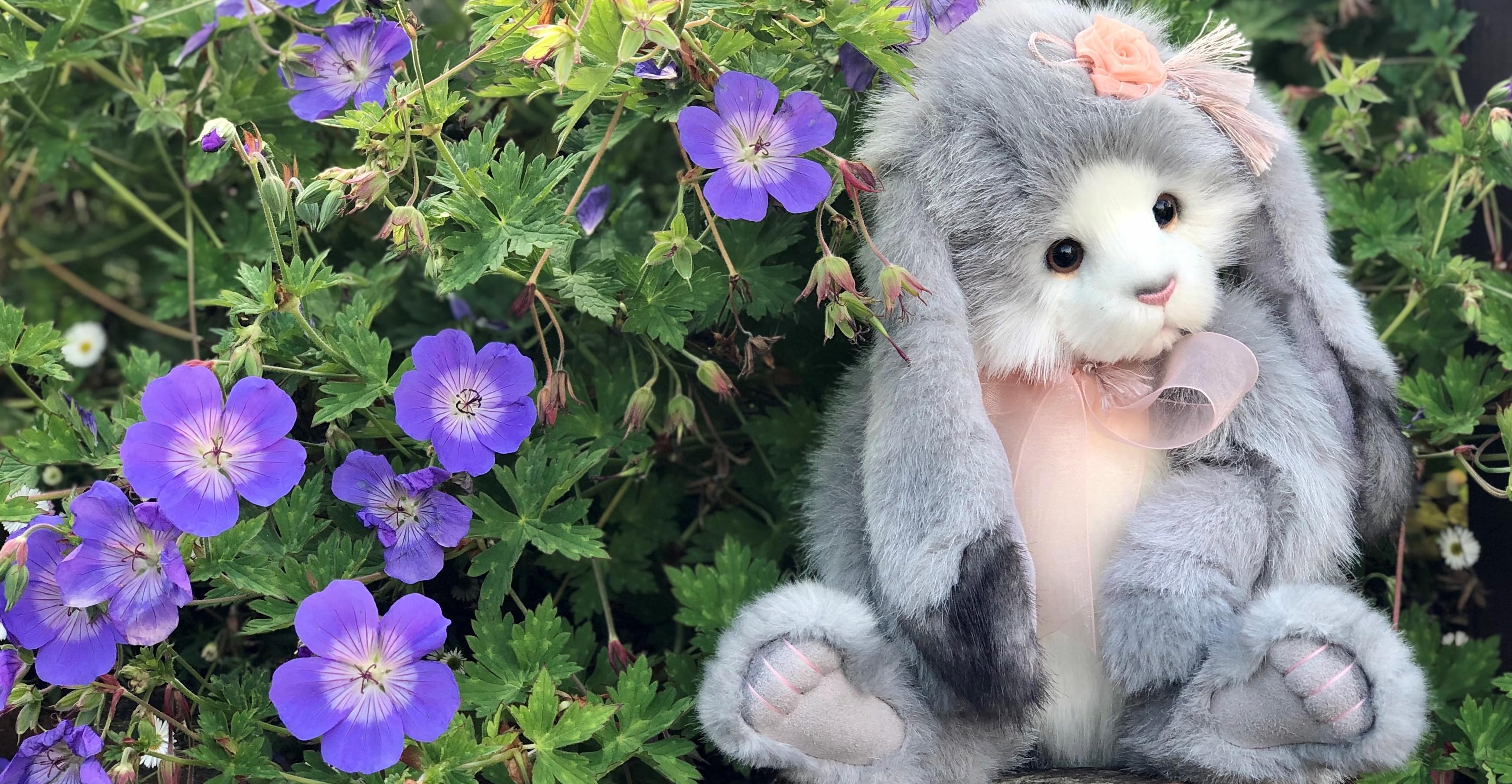 Amazon.de Charlie Bears Official Accessories