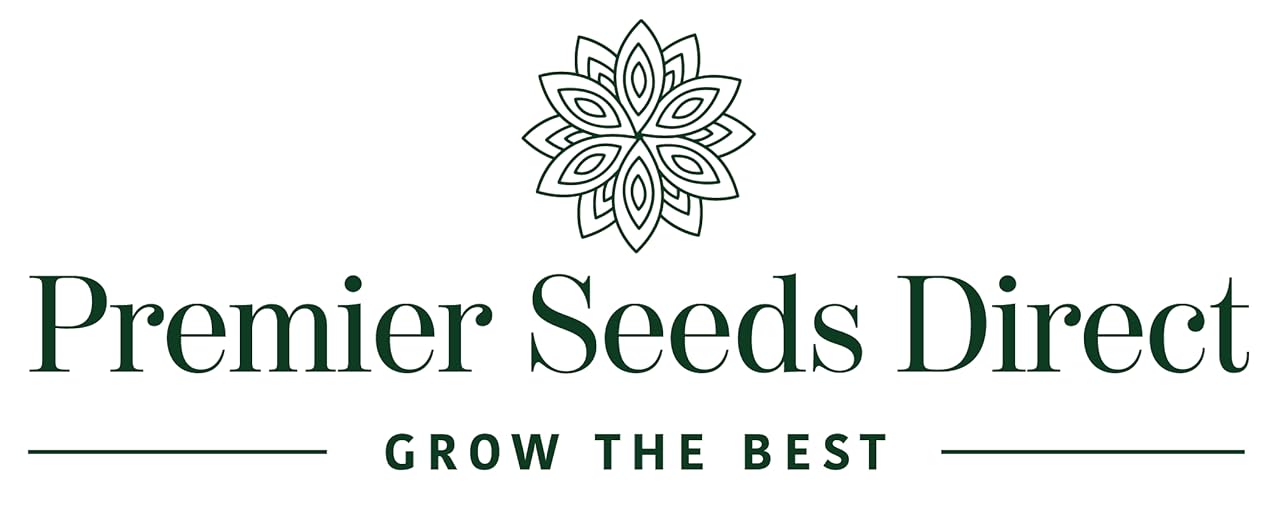 Amazon.co.uk Premier Seeds Direct Cauliflower