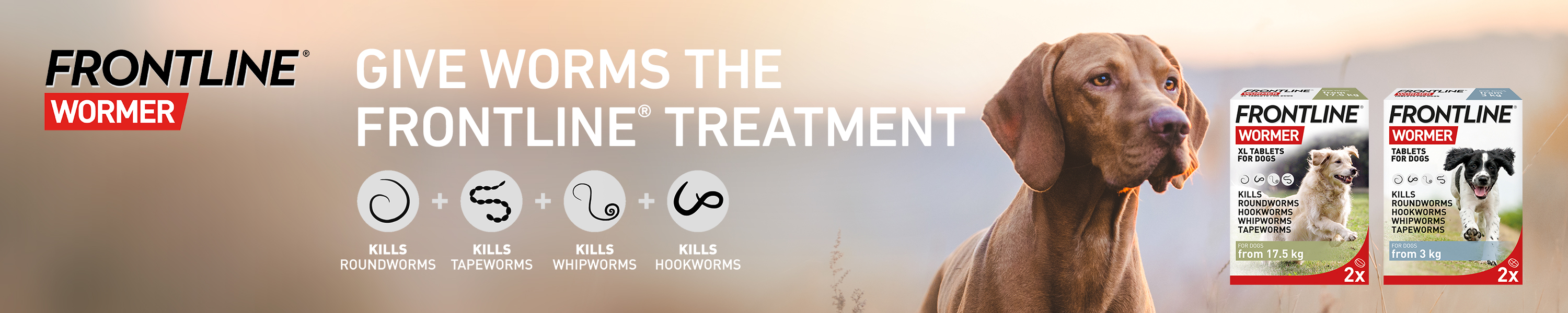 Amazon.co.uk FRONTLINE FRONTLINE WORMER for Dogs