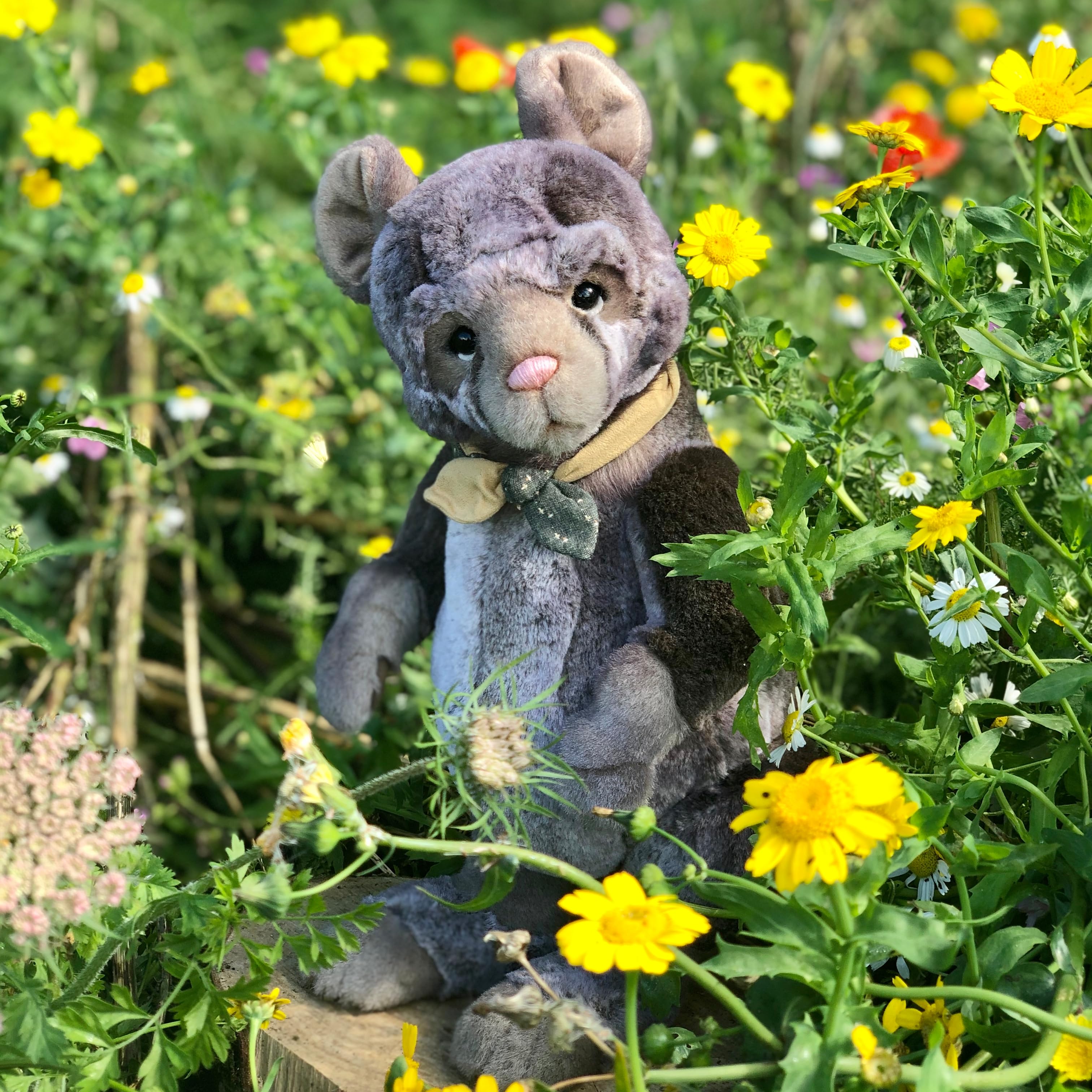 Amazon.de Charlie Bears Official About Charlie Bears