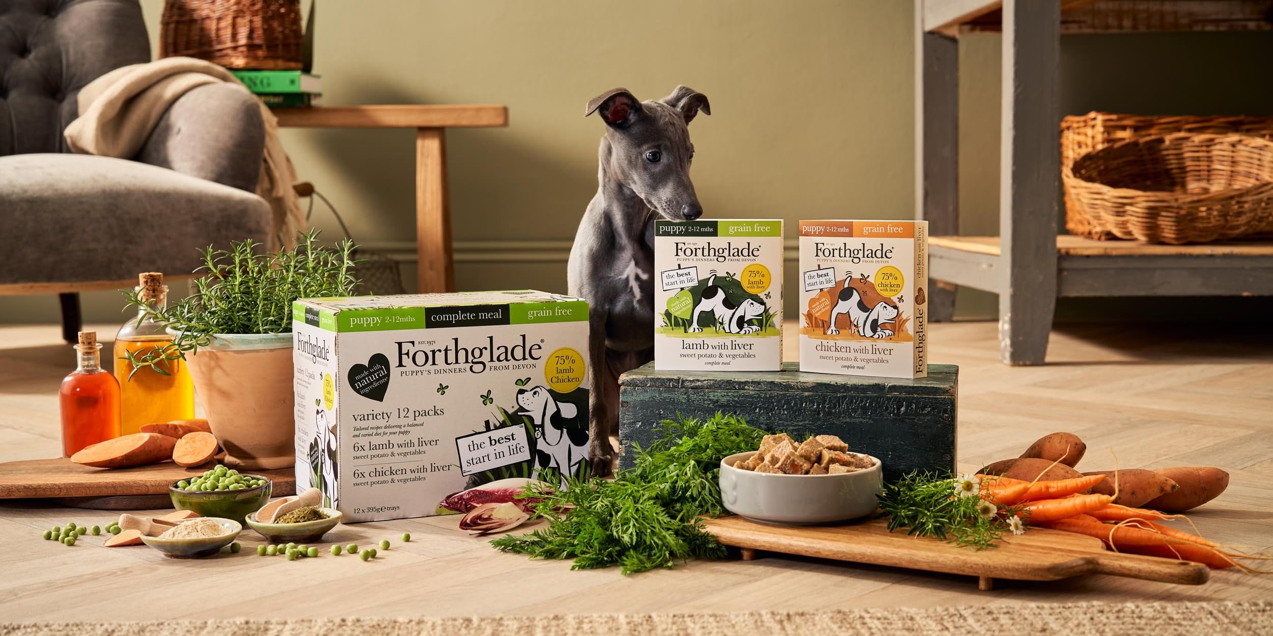 Amazon.co.uk Forthglade Puppy