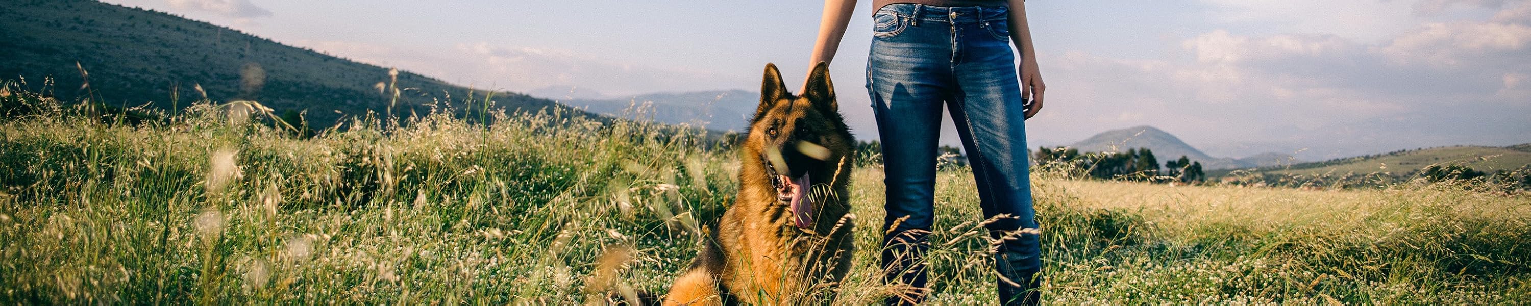 Amazon.co.uk SlowTon