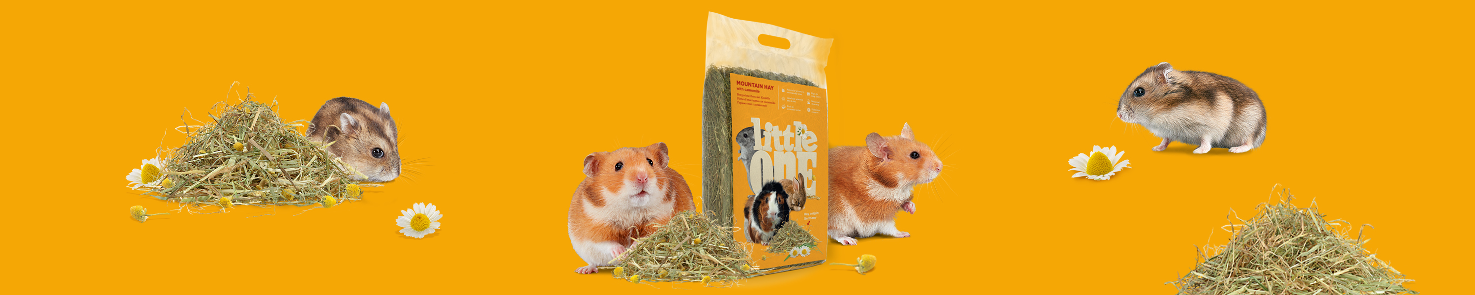 Amazon.co.uk Little One Hay for Hamsters