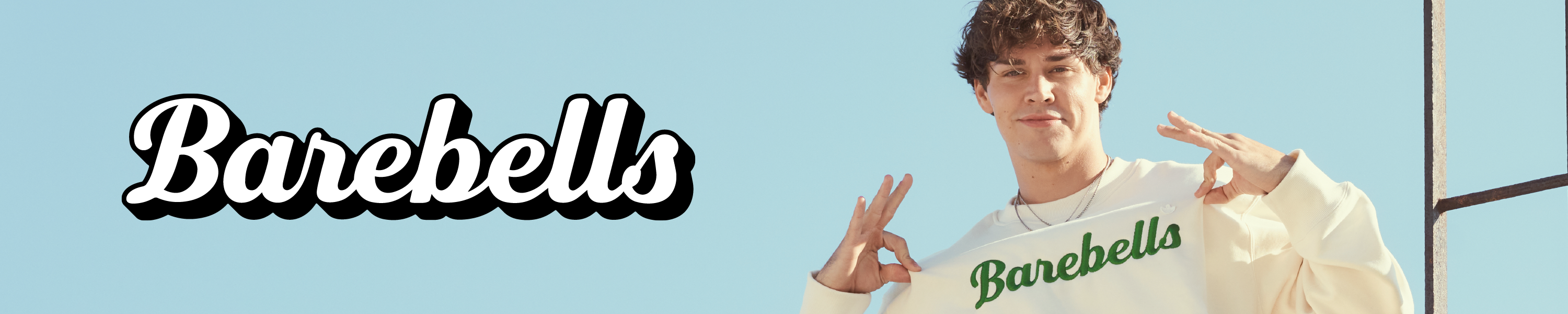 Amazon.co.uk Barebells Protein shakes