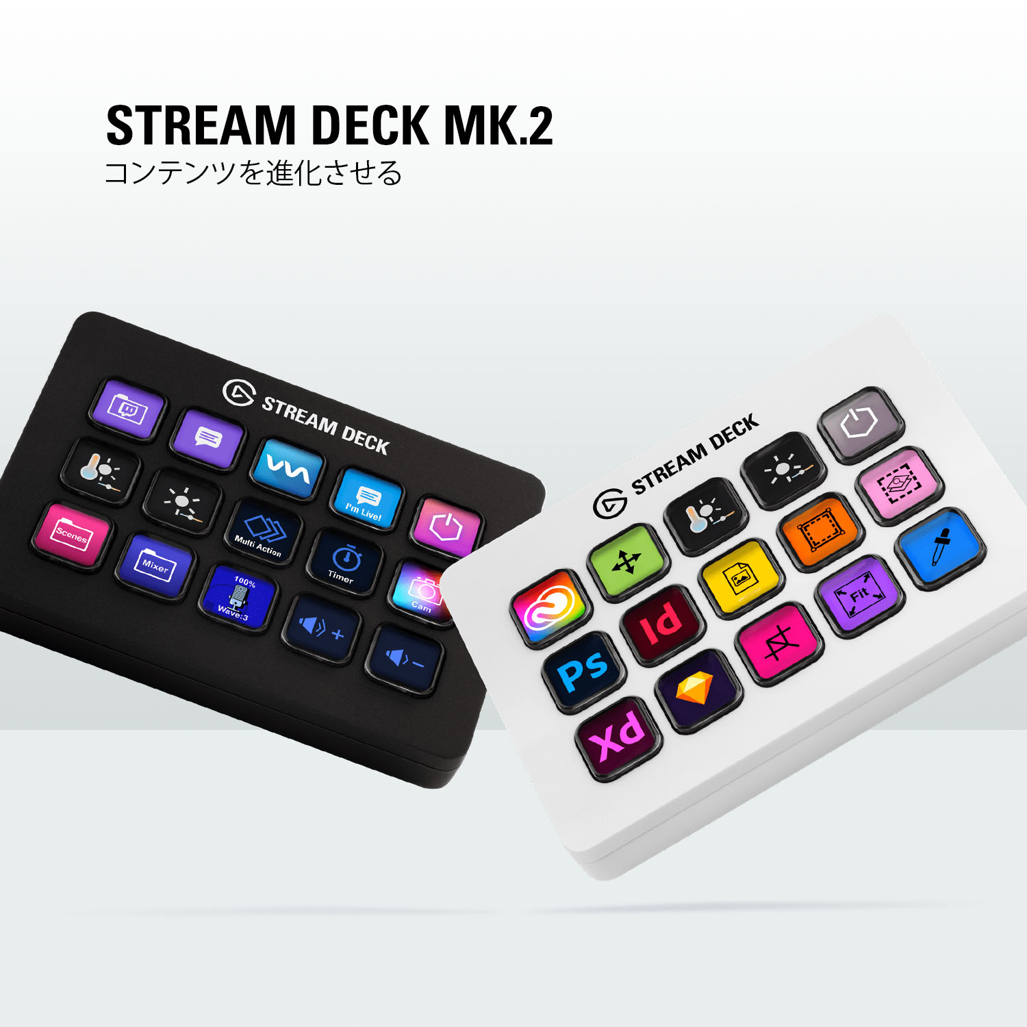 heyco公式アカウント01 様用 新品未開封 アブソルートデック6個 heyco公式アカウント01 様用 新品未開封 アブソルートデック6個
