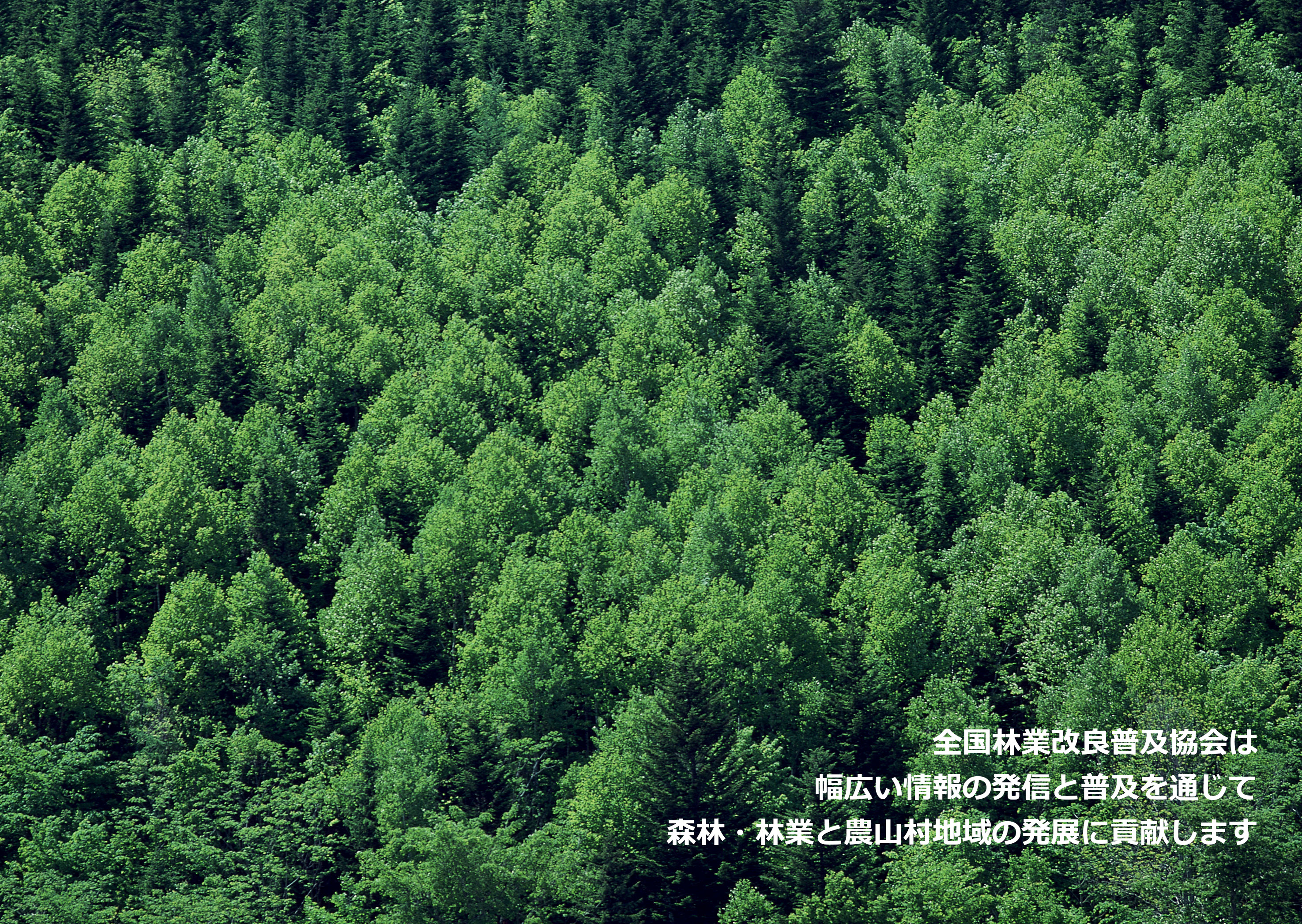 722 林業改良普及双書　31冊 722 林業改良普及双書 31冊 722 林業改良普及双書 31冊
