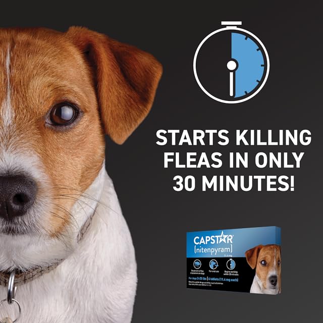 CAPSTAR NEXTSTAR CAPSTAR