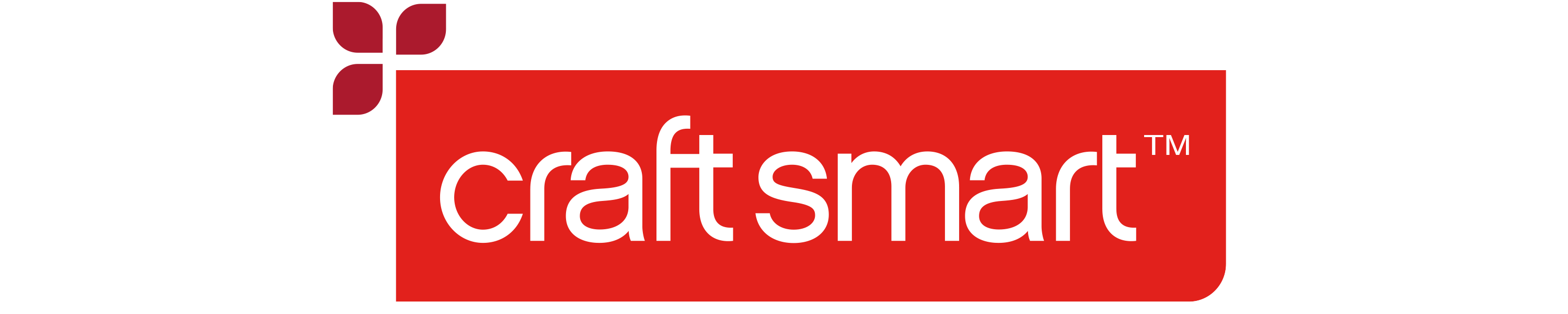 Craft Smart Yarn
