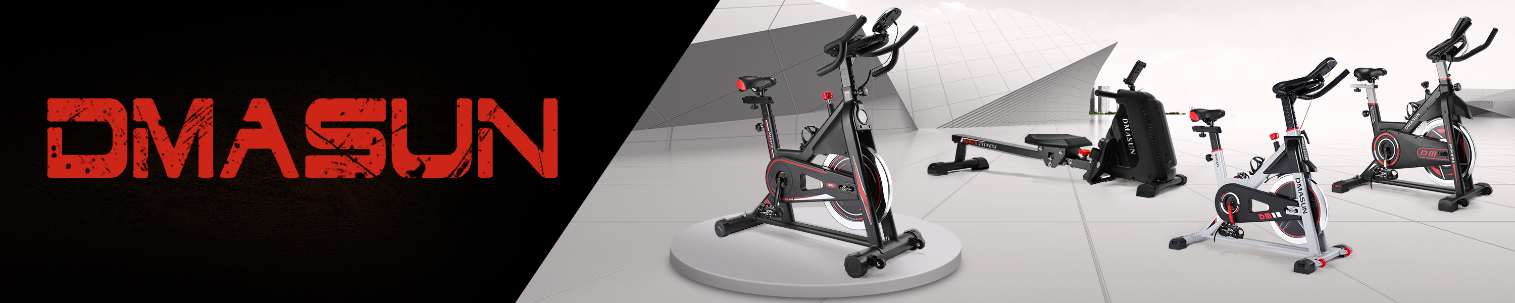 DMASUN EXERCISE BIKE