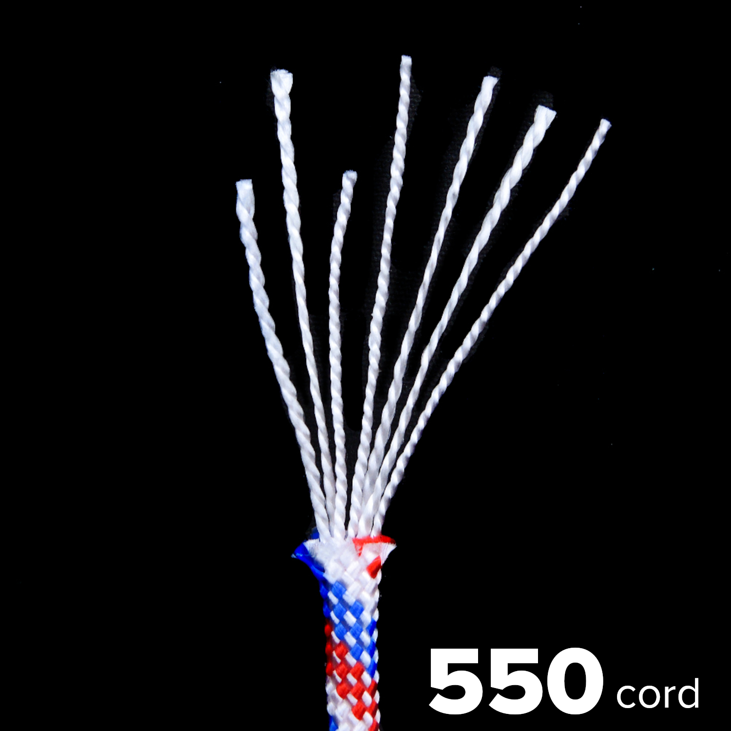 Amazon.ca Paracord Paracord