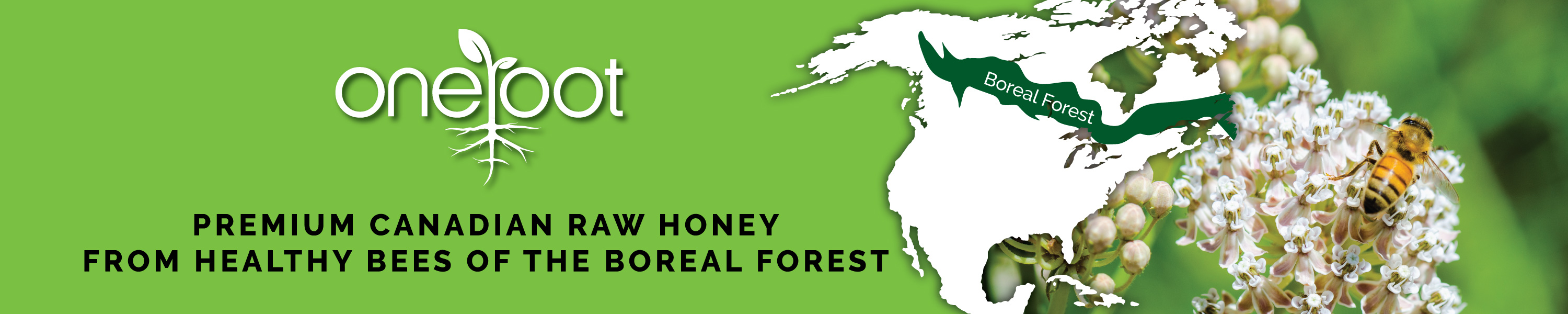 Oneroot Raw Wildflower Honey