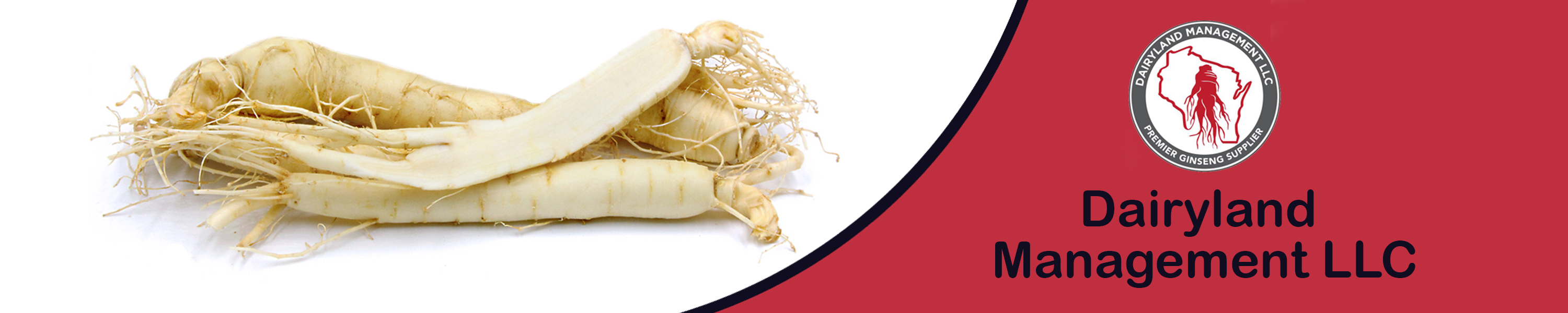 Dairyland Management LLC American Ginseng