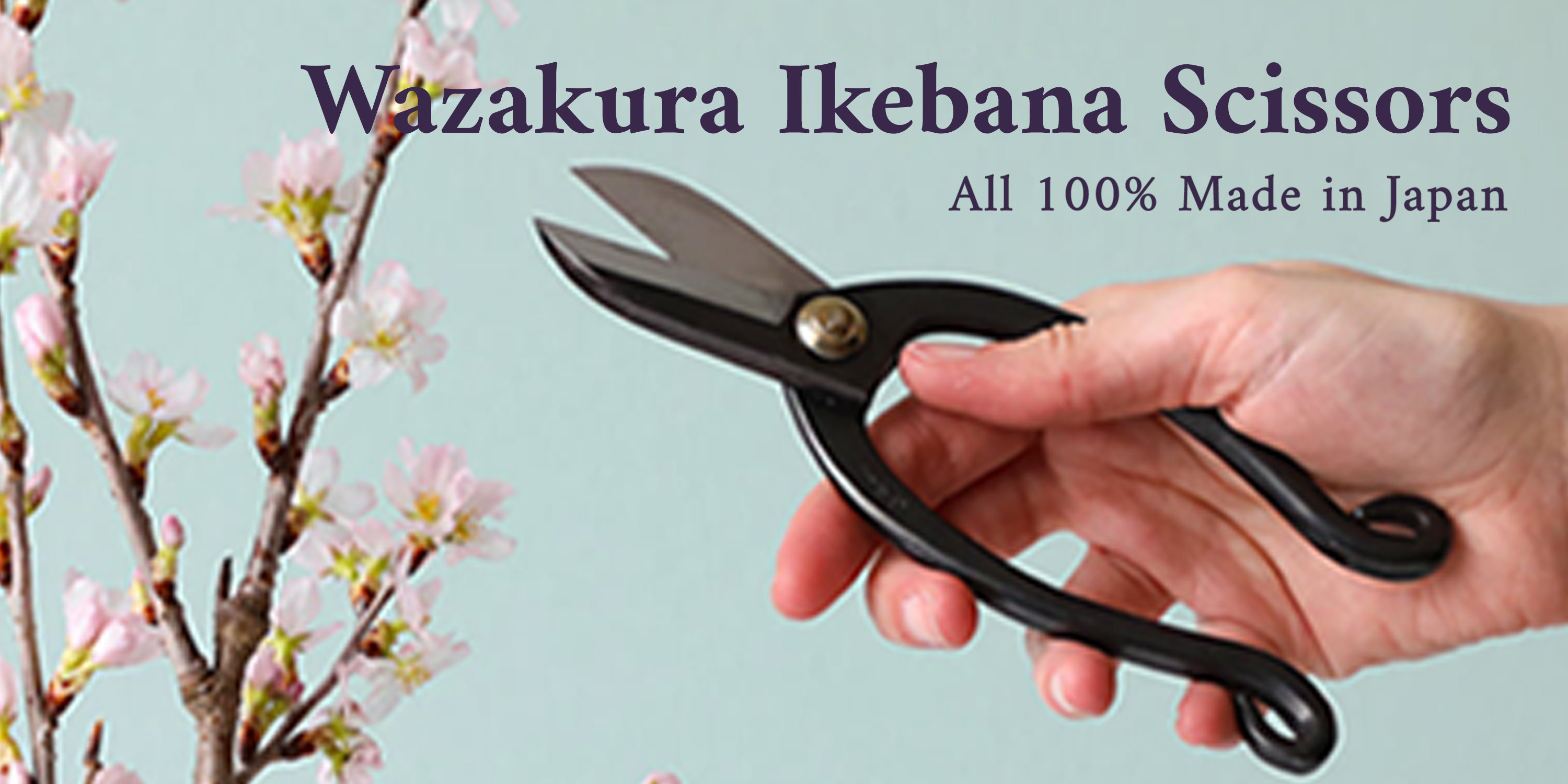 Amazon.com: Wazakura Japan: Ikebana Scissors