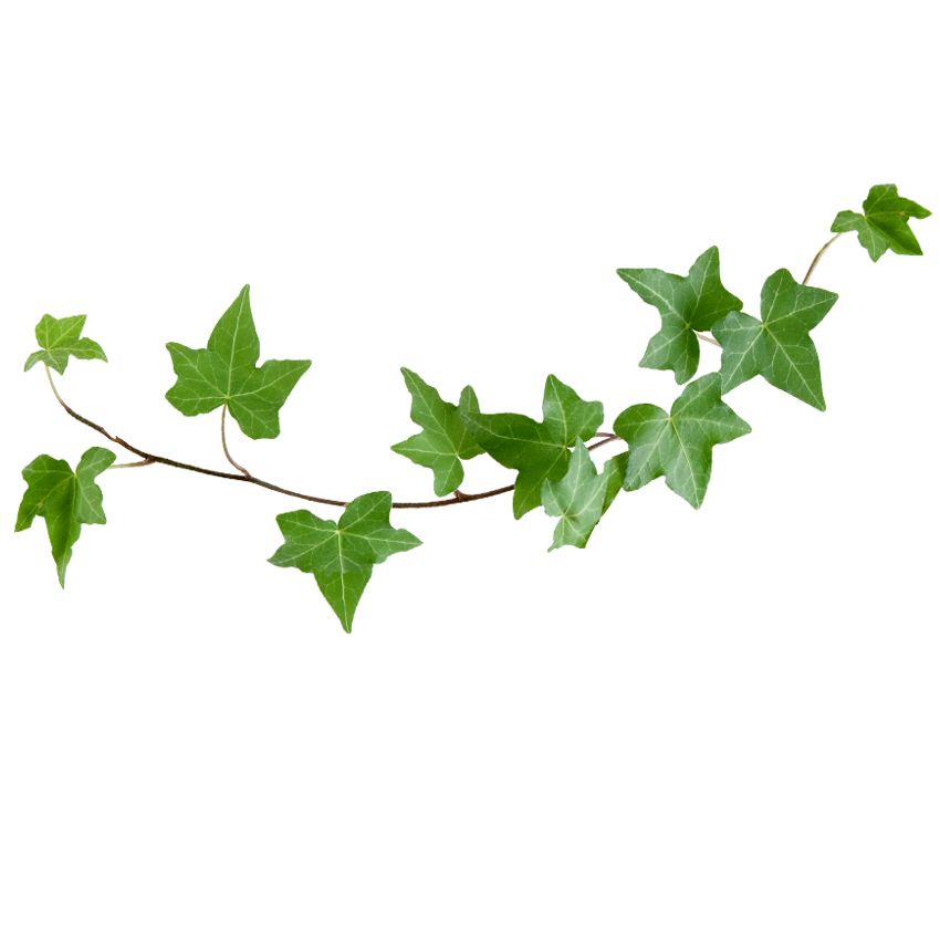 Apeair Artificial Vines