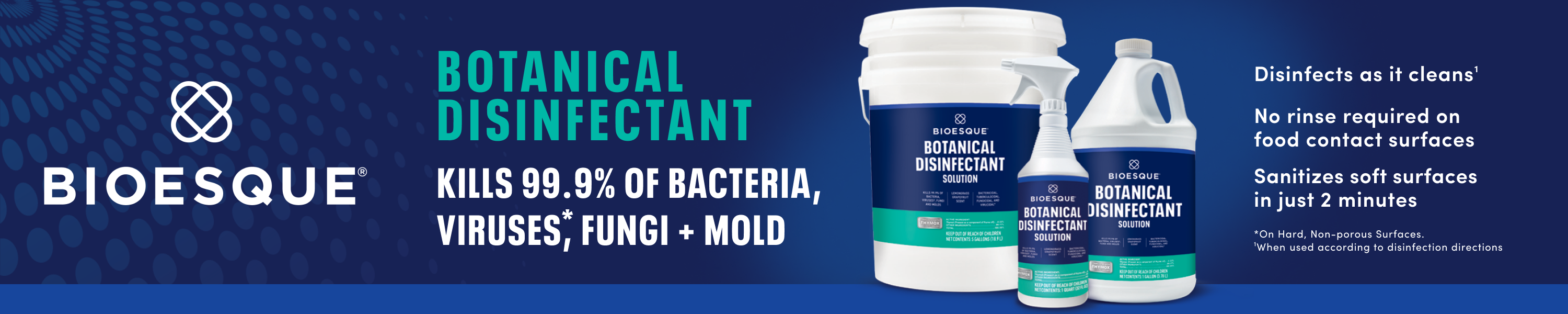 Bioesque Disinfectant Solution