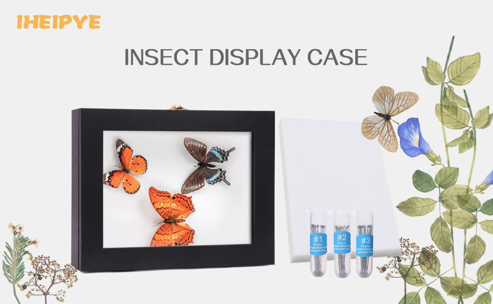 IHEIPYE Insect Display Case