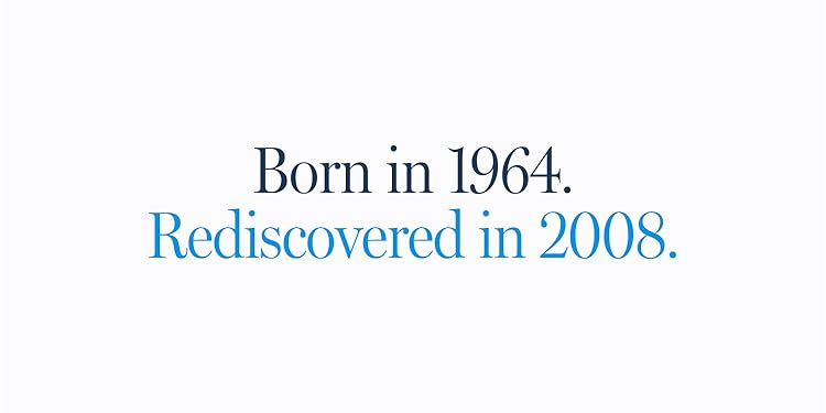 Amazon.com: SeaVees Footwear